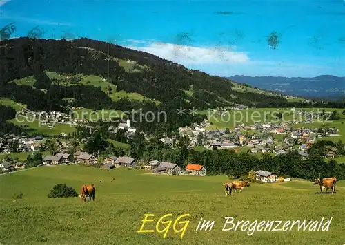 AK / Ansichtskarte Egg Bregenzerwald gegen Kaltenbrunnen 
