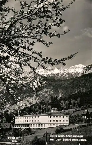 AK / Ansichtskarte Windischgarsten Haus Windischgarsten mit dem Sengsengebirge Baumbluete Kat. Windischgarsten