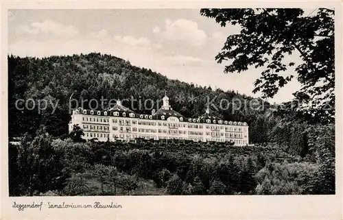 AK / Ansichtskarte Deggendorf Donau Sanatorium am Hausstein Kat. Deggendorf