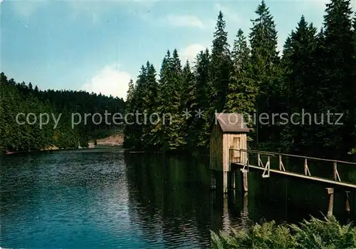 AK / Ansichtskarte Zellerfeld Spiegeltaler Teich Kat. Clausthal Zellerfeld