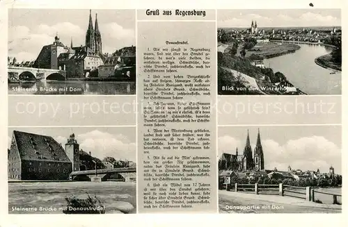 AK / Ansichtskarte Regensburg Steinerne Bruecke Dom Donaustrudel Blick von Winzerhoehen Kat. Regensburg