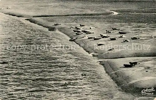 AK / Ansichtskarte Seehunde Robben Sandbank Langeoog Fliegeraufnahme Kat. Tiere