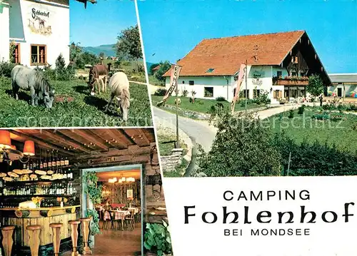 AK / Ansichtskarte Mondsee Salzkammergut Camping Fohlenhof Kat. Mondsee
