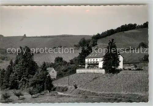 AK / Ansichtskarte Wittlich Felsenburg Kat. Wittlich