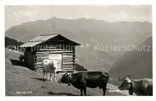 AK / Ansichtskarte Kuehe Auf der Alm Foto Monopol Kat. Tiere