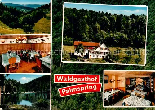 AK / Ansichtskarte Bad Peterstal Griesbach Waldgasthof Palmspring Kat. Bad Peterstal Griesbach