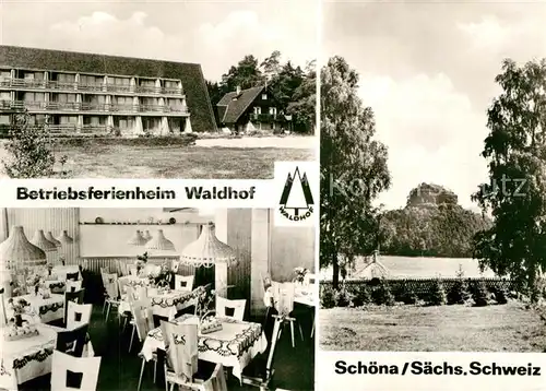 AK / Ansichtskarte Schoena Bad Schandau Bertriebsferienheim Waldhof