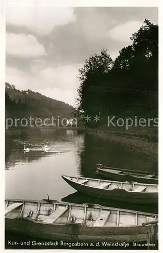 AK / Ansichtskarte Bad Bergzabern Am Stauweiher Kat. Bad Bergzabern