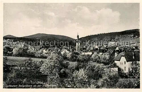 AK / Ansichtskarte Bad Bergzabern Panorama Kat. Bad Bergzabern