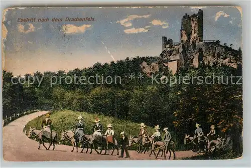 AK / Ansichtskarte Koenigswinter Eselritt nach Drachenburg / Koenigswinter /Rhein-Sieg-Kreis LKR