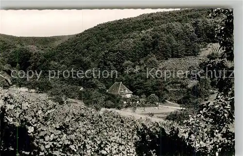 AK / Ansichtskarte Bad Bergzabern Altromantische Wappenschmiede Kat. Bad Bergzabern