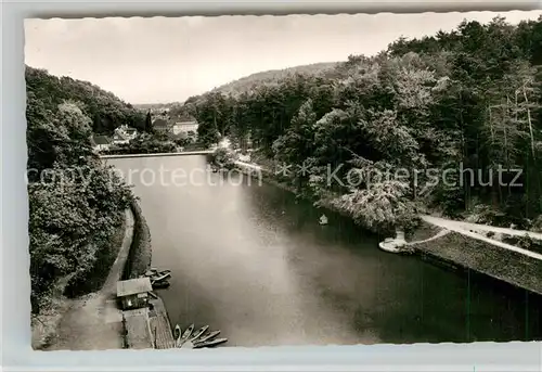 AK / Ansichtskarte Bad Bergzabern Schwanenweiher Kat. Bad Bergzabern