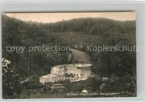 AK / Ansichtskarte Bad Bergzabern Kurhotel Westenhoefer Kat. Bad Bergzabern