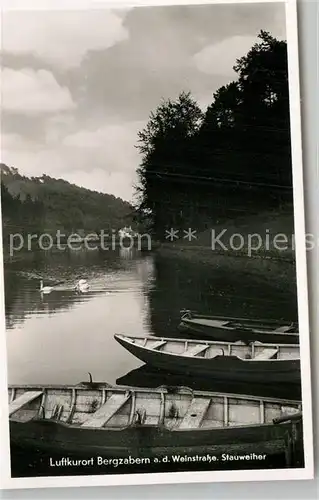 AK / Ansichtskarte Bad Bergzabern Stauweiher Kat. Bad Bergzabern