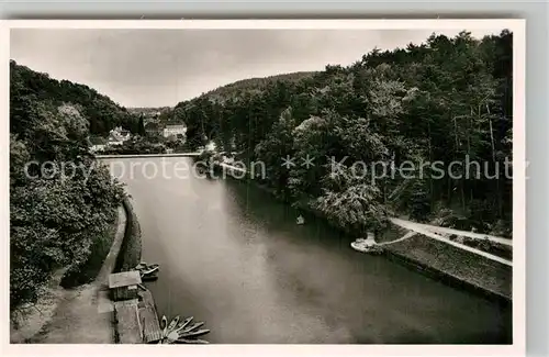 AK / Ansichtskarte Bad Bergzabern Schwanenweiher Kat. Bad Bergzabern