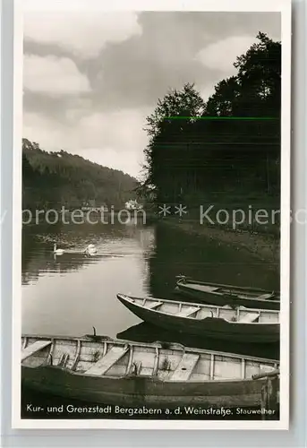 AK / Ansichtskarte Bad Bergzabern Partie am Stauweiher Kat. Bad Bergzabern