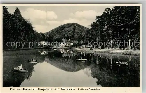 AK / Ansichtskarte Bad Bergzabern Partie am Stauweiher Kat. Bad Bergzabern