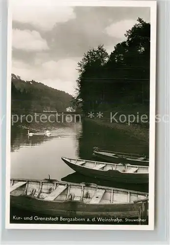 AK / Ansichtskarte Bad Bergzabern Stauweiher Kat. Bad Bergzabern