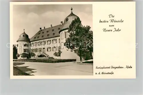 AK / Ansichtskarte Bad Bergzabern Schloss Kat. Bad Bergzabern