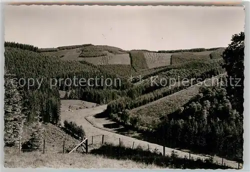 AK / Ansichtskarte Meinkenbracht Panorama Kat. Sundern (Sauerland)