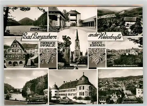 AK / Ansichtskarte Bad Bergzabern Seehof Weiher Deutsches Weintor Bethof Parkhotel Kriegerdenkmal Berwartstein Stauweiher Schloss Gesamt Kat. Bad Bergzabern