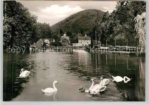 AK / Ansichtskarte Bad Bergzabern Schwanenweiher Kat. Bad Bergzabern