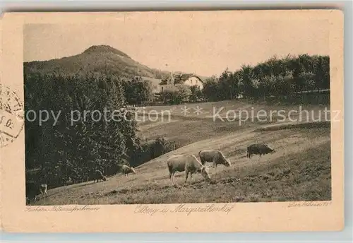 AK / Ansichtskarte Koenigswinter Weide auf dem oelberg Kat. Koenigswinter