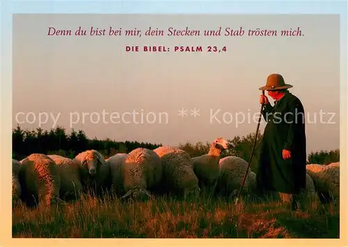 AK / Ansichtskarte Schafe Hirte Psalm 234 Kat. Tiere