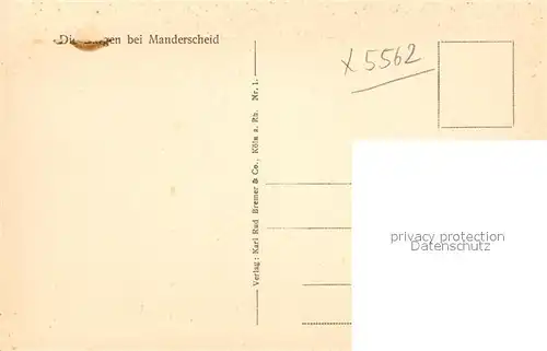 AK / Ansichtskarte Manderscheid Eifel Burgen Kat. Manderscheid