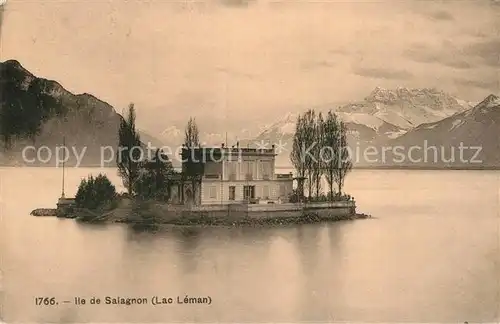 AK / Ansichtskarte Ile de Salagnon Lac Leman et les Alpes