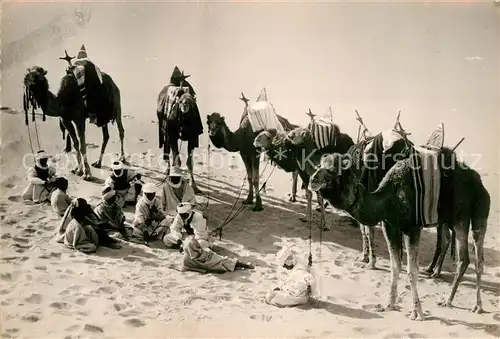 AK / Ansichtskarte Kamele Patrouille Signal du Deport  Kat. Tiere