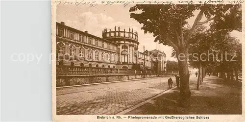 AK / Ansichtskarte Biebrich Wiesbaden Rheinpromenade Grossherzogliches Schloss 