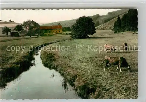 AK / Ansichtskarte Daun Eifel uedersdorfer Muehle Kat. Daun