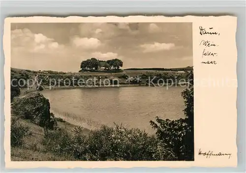 AK / Ansichtskarte Daun Eifel Weinfelder Maar Kat. Daun