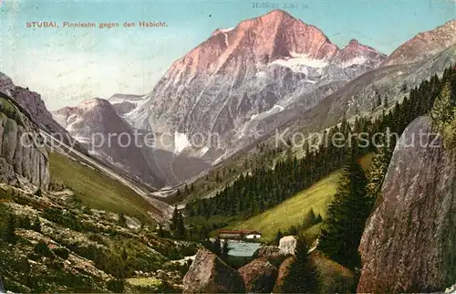 AK / Ansichtskarte Stubaier Alpen Pinnisalm Habicht Kat. Neustift im Stubaital