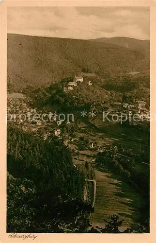 AK / Ansichtskarte Schwarzburg Thueringer Wald Blick vom Trippstein Kat. Schwarzburg