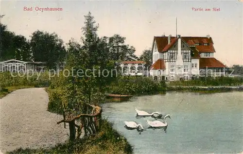 AK / Ansichtskarte Bad Oeynhausen Siel Schwan Kat. Bad Oeynhausen