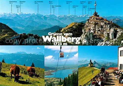 AK / Ansichtskarte Wallberg Seilbahn Kuehe Tegernsee Kat. Tegernsee