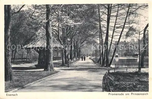 AK / Ansichtskarte Eisenach Thueringen Promenade am Prinzenteich Kat. Eisenach