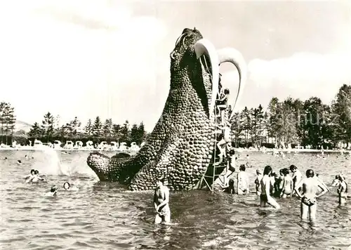 AK / Ansichtskarte Grossschoenau Sachsen Waldstrandbad mit Wasserrutsche Walross Kat. Grossschoenau Sachsen