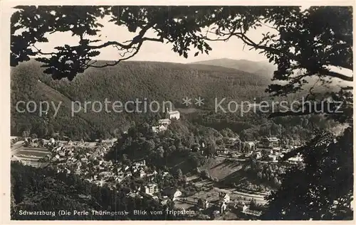 AK / Ansichtskarte Schwarzburg Thueringer Wald Panorama vom Trippstein Kat. Schwarzburg