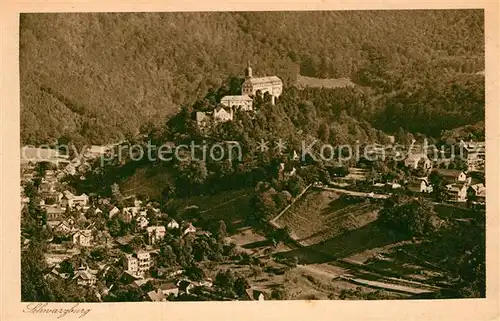 AK / Ansichtskarte Schwarzburg Thueringer Wald Blick vom Trippstein Schloss Kat. Schwarzburg