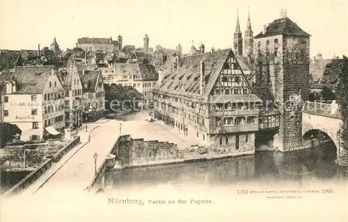 AK / Ansichtskarte Nuernberg Pegnitz  Kat. Nuernberg