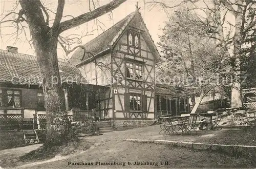 AK / Ansichtskarte Ilsenburg Harz Forsthaus Plessenburg  Kat. Ilsenburg Harz