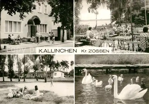 AK / Ansichtskarte Kallinchen Kurpark Schwanenweiher Terrasse  Kat. Zossen