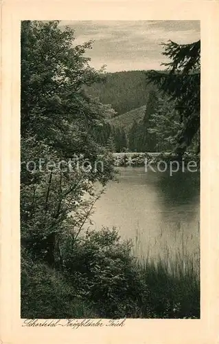 AK / Ansichtskarte Ilmenau Thueringen Knoepfelstaler Teich Schortetal Kat. Ilmenau