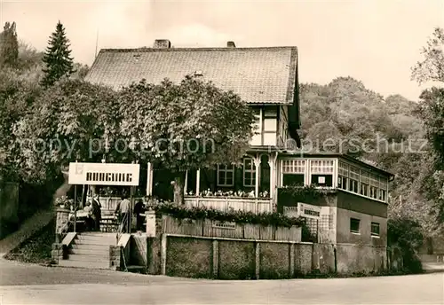 AK / Ansichtskarte Treseburg Harz Restaurant Cafe Burgstieg Kat. Treseburg