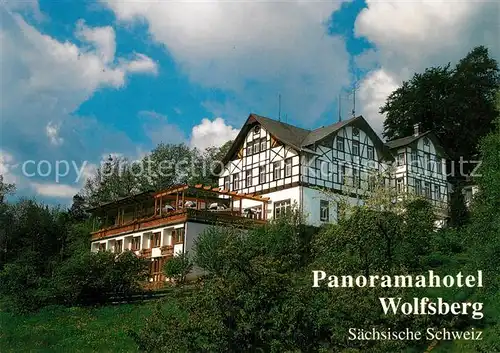 AK / Ansichtskarte Reinhardtsdorf Bad Schandau Panoramahotel Wolfsberg Kat. Reinhardtsdorf Schoena
