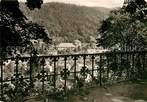 AK / Ansichtskarte Schwarzburg Thueringer Wald Blick vom Schloss Kat. Schwarzburg