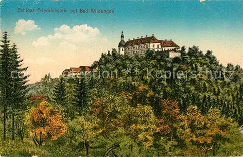 AK / Ansichtskarte Bad Wildungen Schloss Friedrichstein Kat. Bad Wildungen